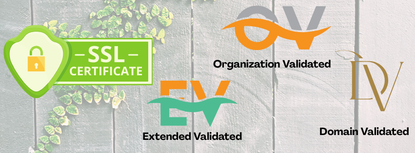 How SSL Certificates Boost Your Website’s Google Ranking in Pakistan ...